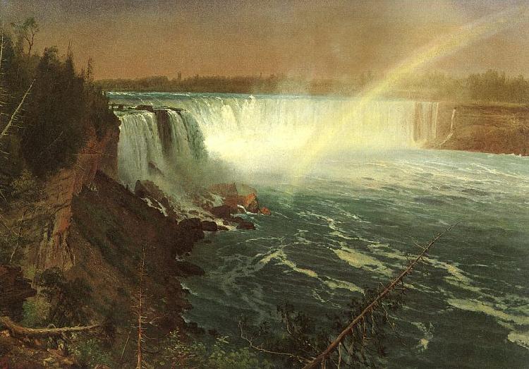 Albert Bierstadt Niagara Sweden oil painting art